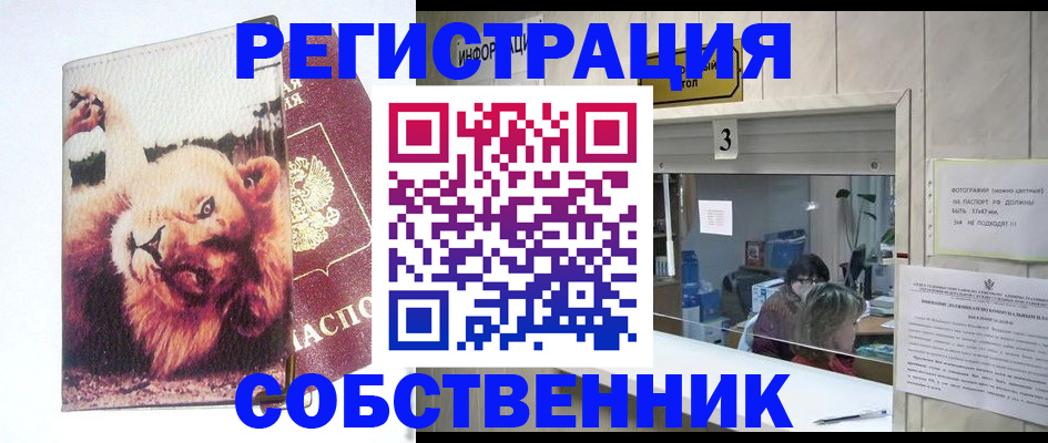 прописка поиск в Златоусте